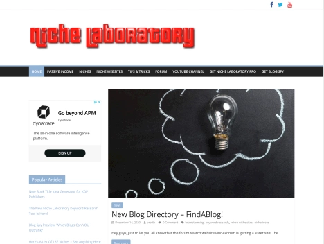 Screenshot of a quality blog in the blogging tips niche