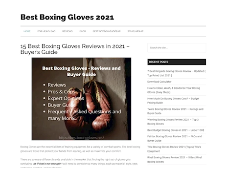 Screenshot of a quality blog in the wrist braces niche