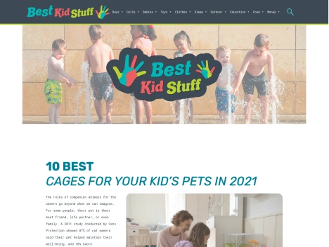 Screenshot of a quality blog in the pet toys niche