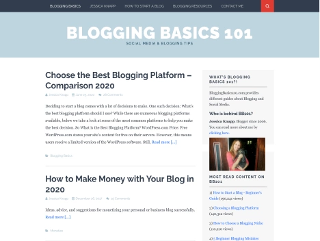 Screenshot of a quality blog in the pro blogger niche