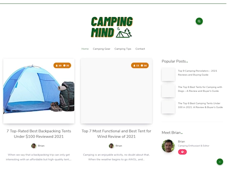 Screenshot of a quality blog in the crib tents niche