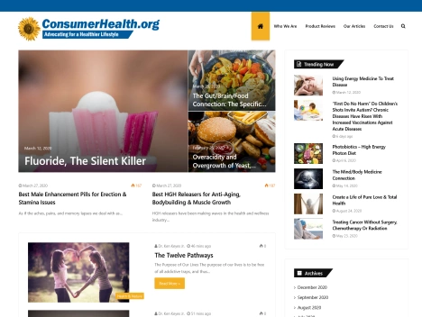 Screenshot of a quality blog in the chronic illness niche