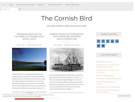 Screenshot of a quality blog in the mumbles lighthouse niche