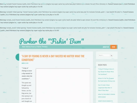 Screenshot of a quality blog in the fish tanks niche