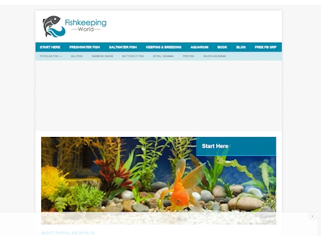 Screenshot of a quality blog in the aquariums niche