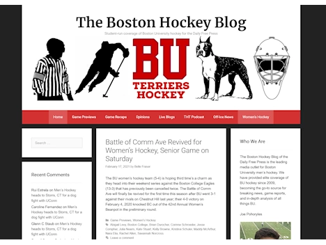 Screenshot of a quality blog in the air hockey niche