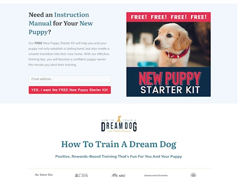 Screenshot of a quality blog in the puppies niche