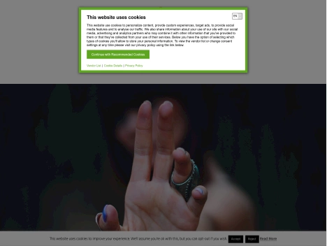 Screenshot of a quality blog in the advertising network niche