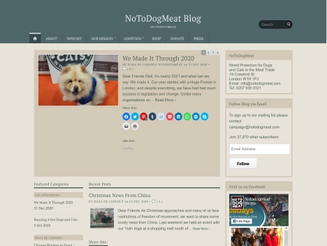 Screenshot of a quality blog in the dog kennels niche