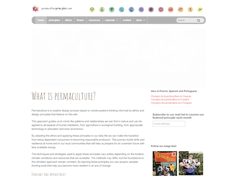Screenshot of a quality blog in the sustainability niche