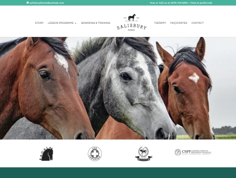 Screenshot of a quality blog in the horseback riding niche