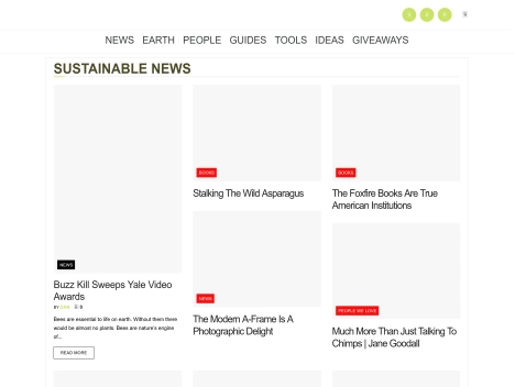 Screenshot of a quality blog in the green living niche
